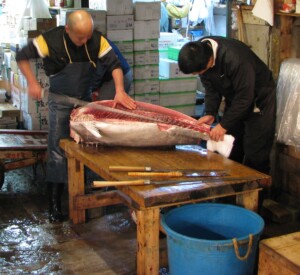 Expert cutting Tuna at the Tsukiji Fish market