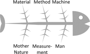 Fishbone Diagram